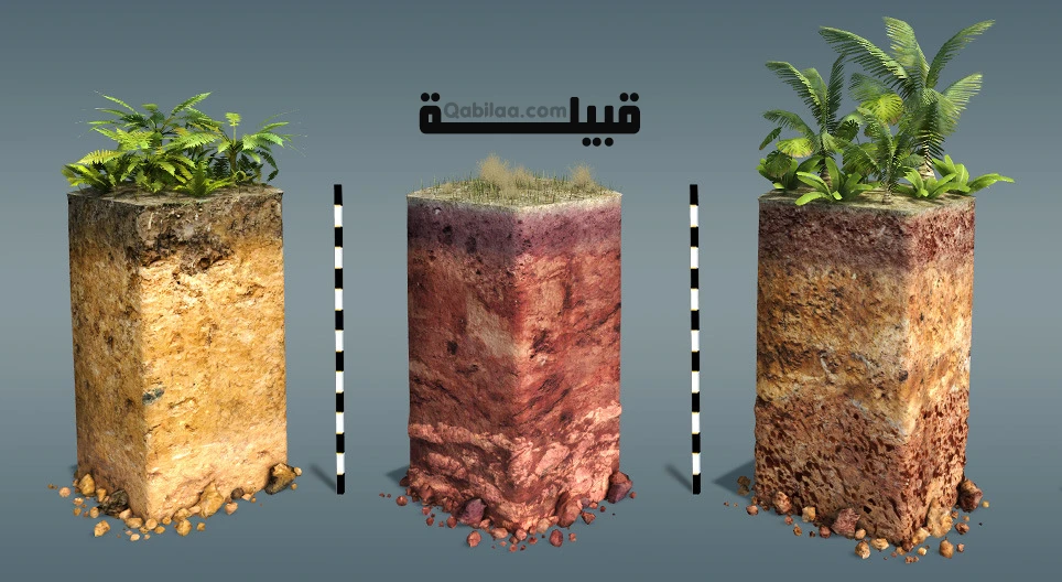 أنواع التربة قدرة على الاحتفاظ بالماء