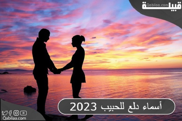 20+ من أسماء دلع للحبيب 2024 حلوه وخفيفة بجميع اللغات
