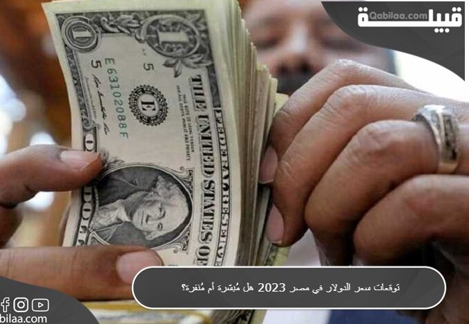 توقعات سعر الدولار في مصر 2024 هل مُبشرة أم مُنفرة؟