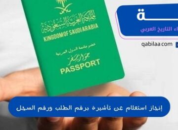 إنجاز استعلام عن تأشيرة برقم الطلب ورقم السجل