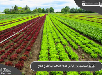 تنوعت المحاصيل الزراعية في الدولة الإسلامية تبعاً لتنوع المناخ