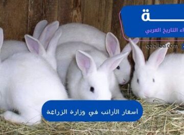 أسعار الأرانب في وزارة الزراعة