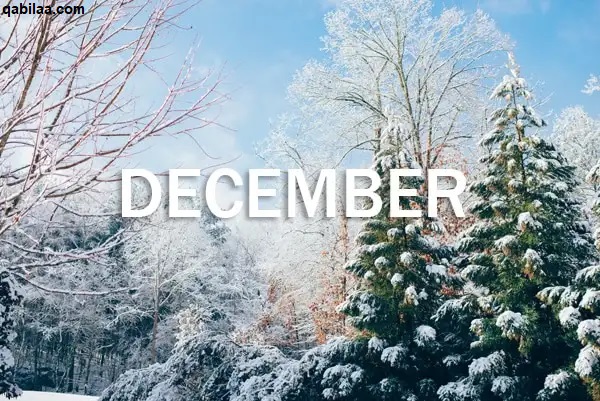 ديسمبر أي شهر بالأرقام December الترتيب الكام ؟