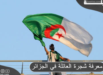 معرفة شجرة العائلة في الجزائر