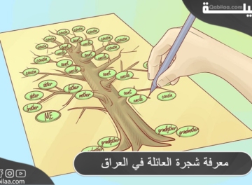 معرفة شجرة العائلة في العراق