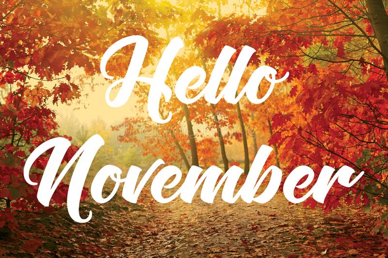 نوفمبر أي شهر بالأرقام November الترتيب الكام؟