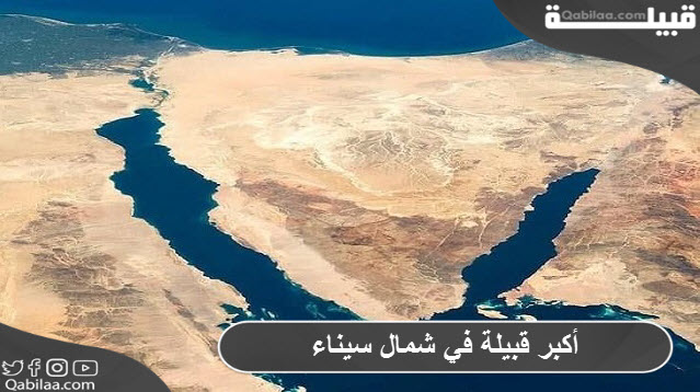 هل السواركة أكبر قبيلة في شمال سيناء !
