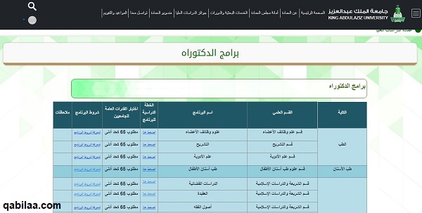 تخصص الأمن السيبراني في جامعة الملك عبدالعزيز