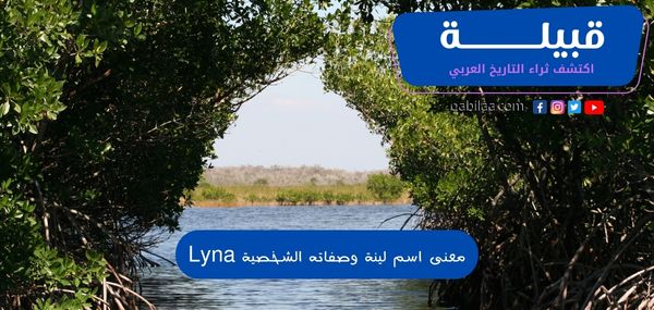 معنى اسم لينة في اللغة العربية و5 صفات حاملة اسم (Lyna)
