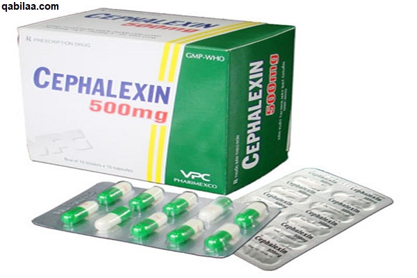 دواعي الاستعمال cephalexin 500