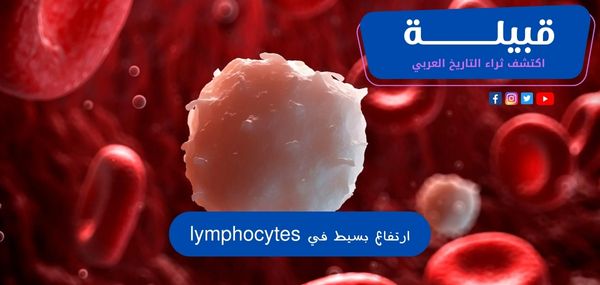 ارتفاع بسيط في الخلايا الليمفاوية (lymphocytes)