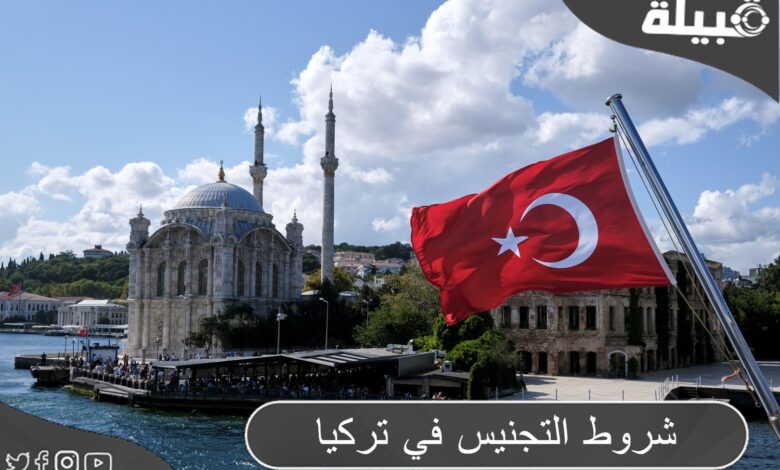 شروط التجنيس في تركيا 2024 وأوراق الحصول علي الجنسية التركية