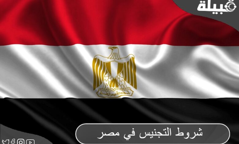 شروط التجنيس في مصر 2024 والأوراق المطلوبة للحصول علي الجنسية المصرية