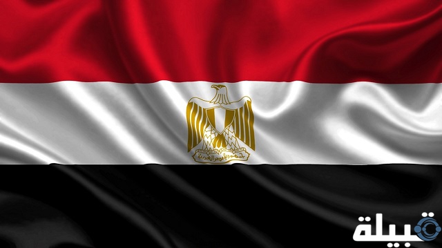 شروط التجنيس في مصر