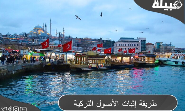 طريقة إثبات الأصول التركية العثمانية