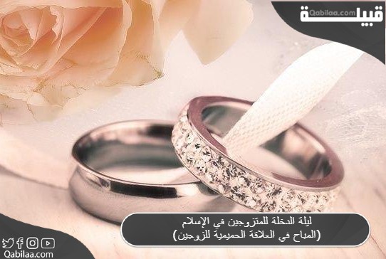 ليلة الدخلة للمتزوجين في الإسلام (المباح في العلاقة الحميمية للزوجين)