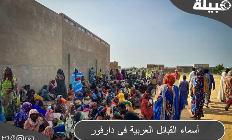 أسماء القبائل العربية في دارفور وأهميتها وأكثر قبيلة لها نفوذ