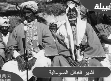 أشهر القبائل الصومالية