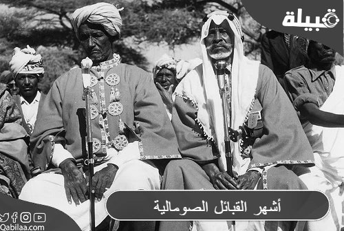 قبائل الصومال: تعرف على أشهر القبائل الصومالية بالترتيب والصور
