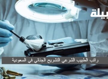 راتب الطبيب الشرعي التشريح الجنائي في السعودية
